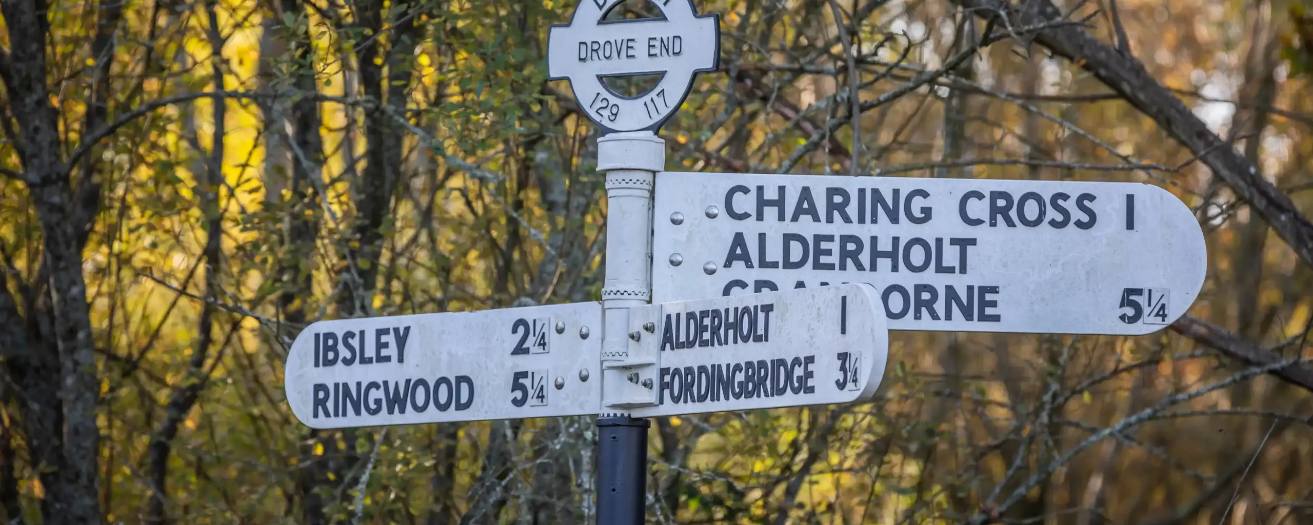 Regal Chase Aderholt Near Me