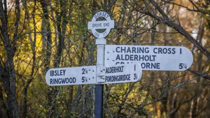 Regal Chase Aderholt Near Me