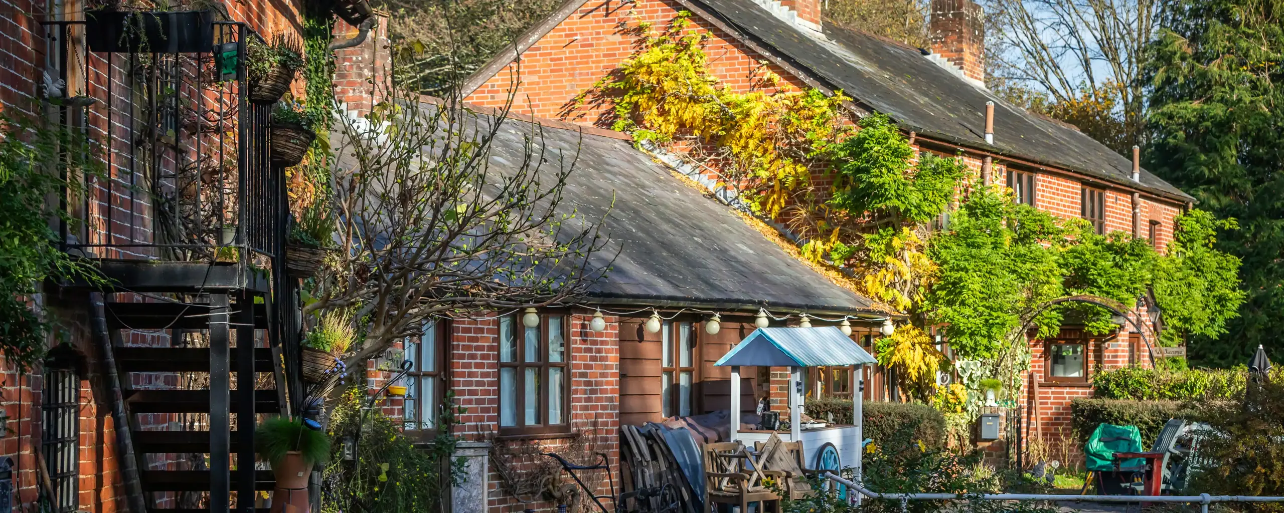 Regal Chase Aderholt Local1