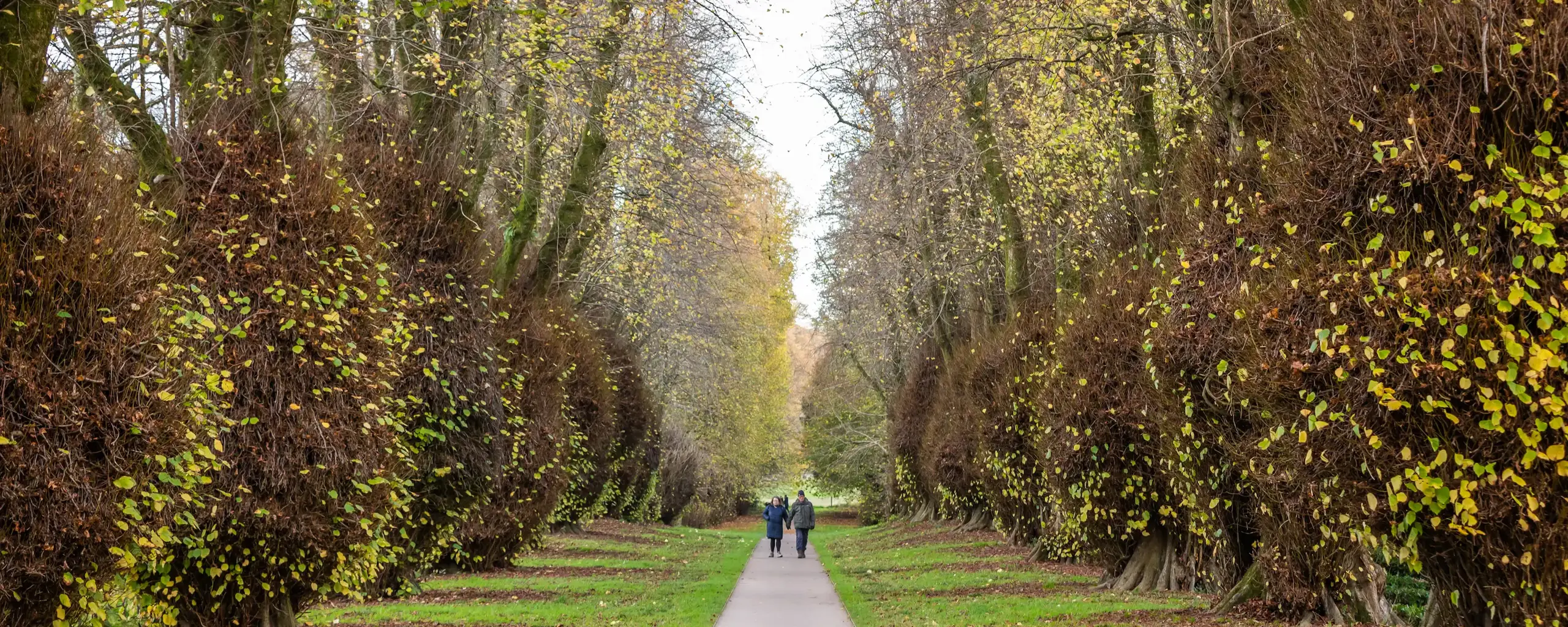 Quarterjackpark Wimborne Local2