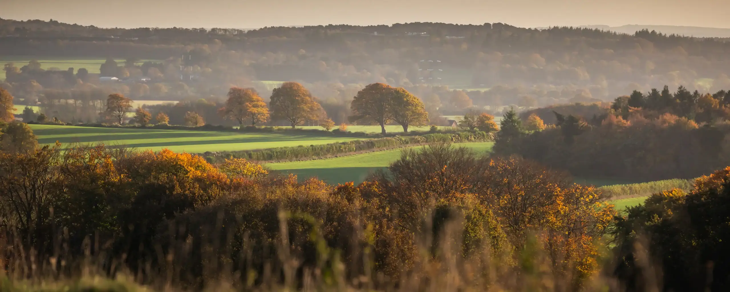 Quarterjackpark Wimborne Local9